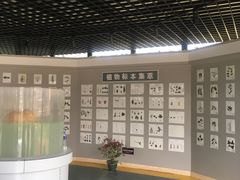 -米果果小镇