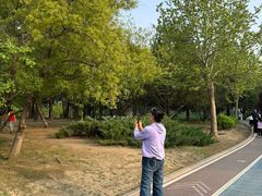 -太阳宫公园