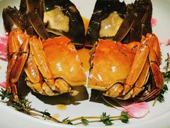 -新光酒家·河豚·海鲜·蟹料理(浦东店)