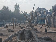 -大青山野生动物园