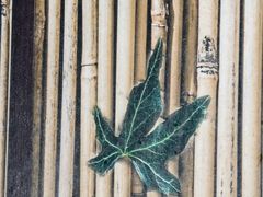 -春晖园度假酒店温泉