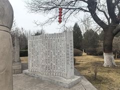 -大槐树寻根祭祖园