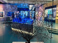 -上海中国航海博物馆