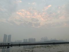 -月湖风景区