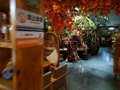 -老茶树骊园生态川菜馆