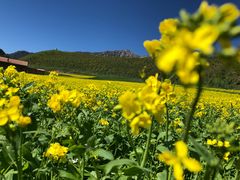 -扁都口生态休闲旅游区