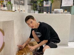 -柴务处·柴犬主题狗咖