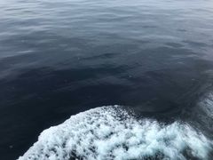 -福冈国际邮轮码头