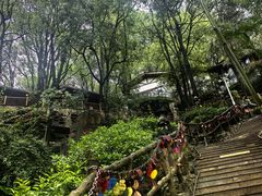 -巴倒烫陆派重庆火锅(南山店)