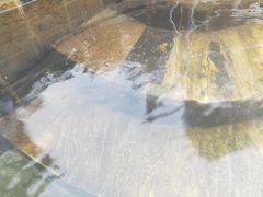 -深业半汤御泉庄温泉