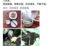 -泉畔人家·老济南经典鲁菜(大明湖店)