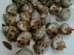 -光兴海鲜排档·小炒(莱利园店)