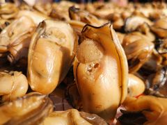 -蚝乡农庄(铁涌赤岸店)