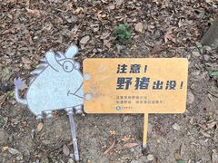 -火炉山森林公园