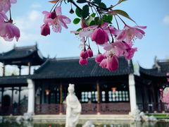 -莫愁湖公园