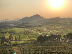 -光明小镇欢乐田园