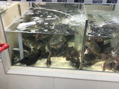 -新苗超市(花城店)