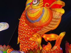 -青岛奥林匹克帆船中心