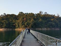 -广州市流溪河国家森林公园