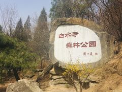 -白水寺森林公园