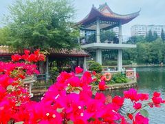 -深圳龙潭公园