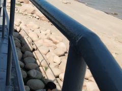 -黎黄陂路街头博物馆
