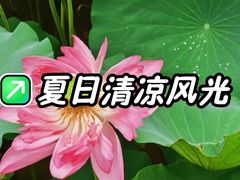 -长洲岛