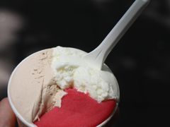-Dip in Gelato(富民路店)