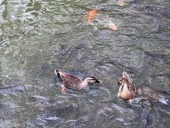 -海珠湖公园