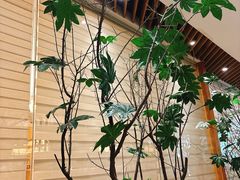 -一轩饺子馆(丽都店)