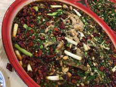 来凤鱼-东吴霸王兔(松青路店)
