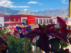 景观位-玛吉阿米·餐吧