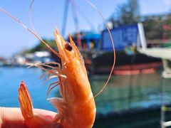 -蓝湾碧波·老字号·疍家非遗海上餐厅