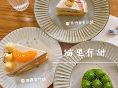 -猫里有甜