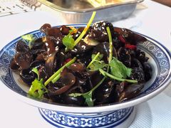 酸辣开胃木耳-拙味兄弟龙虾·江湖菜(和畅堂店)