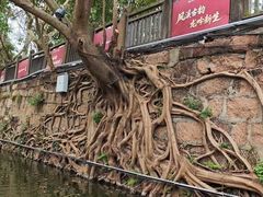 -五凤溪古镇