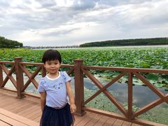 -丁香湖公园