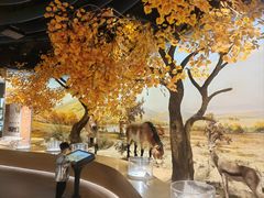 -恩格贝生态旅游区