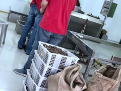 -阿男野栗王(金门路店)