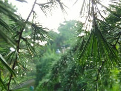 -紫竹院公园冰场