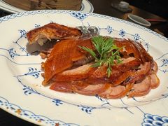 -玖五京菜(杭州城北万象城店)