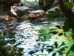 -湖泉半山温泉(湖泉生态园)