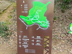 -上海佘山国家森林公园天马山园