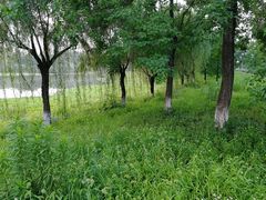 -中国药科大学（江宁校区）-图书馆