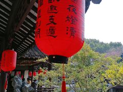 -上海醉白池公园