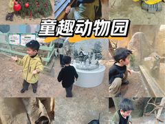 -杭州开元森泊度假乐园