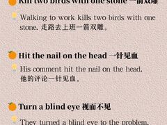 -引领英语·成人口语·雅思托福