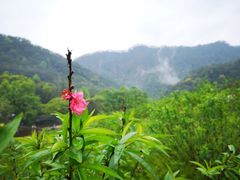 -广州市石门国家森林公园