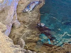 -西安曲江海洋极地公园