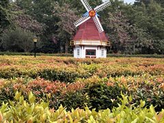 -东莞植物园